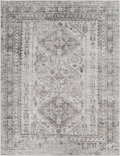 Nelsonville Area Rug - Ornate Home