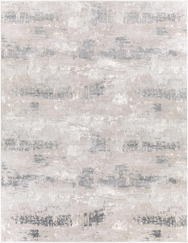 Neponsit Area Rug - Clearance - Ornate Home