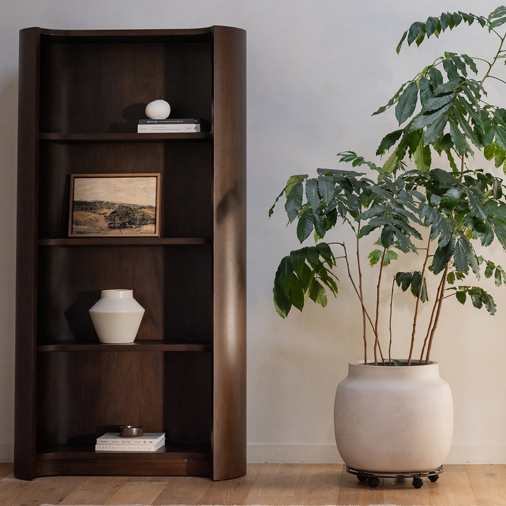 Nera Brown Bookcase - Ornate Home