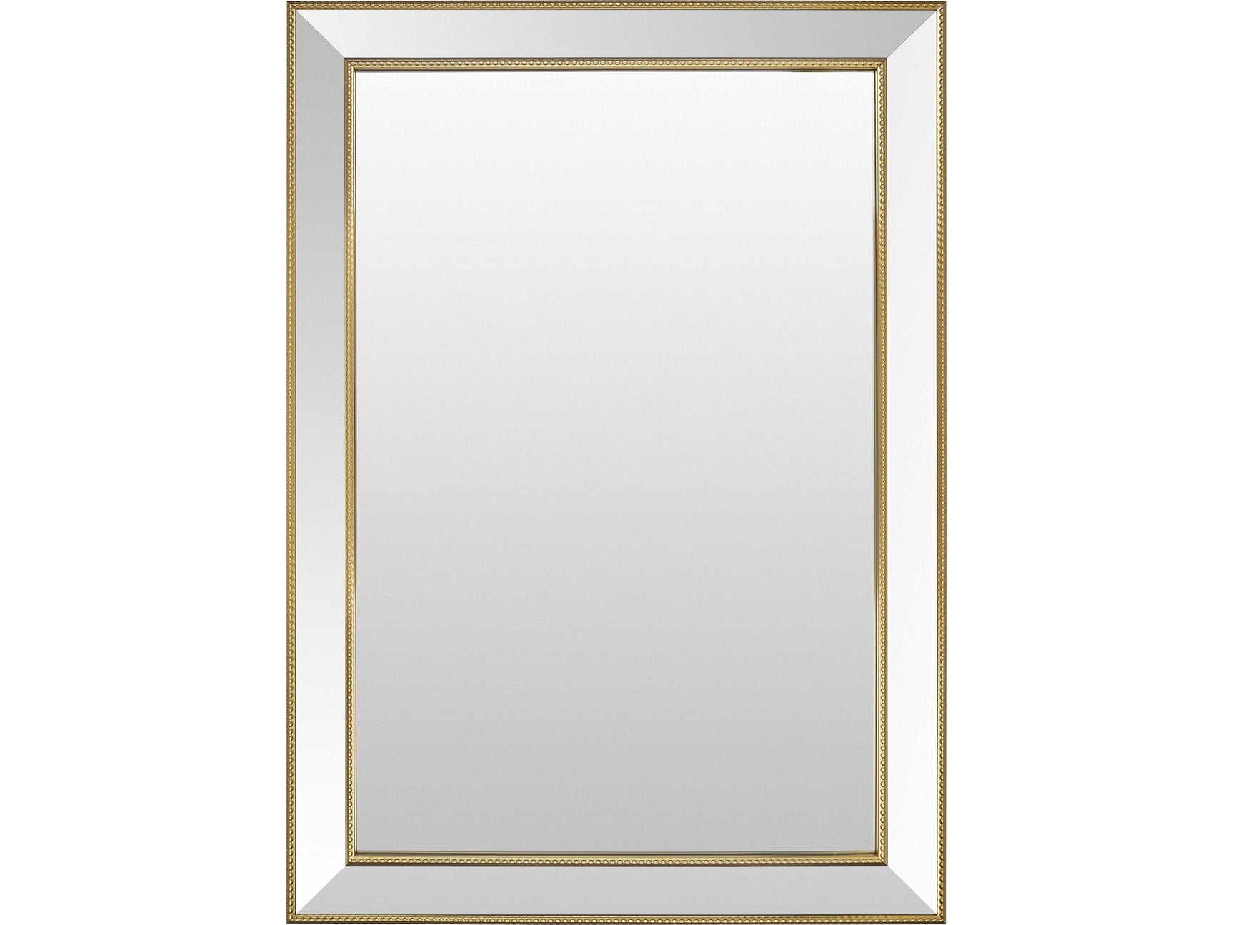 Netzschkau Rectangular Gold Mirror - Ornate Home