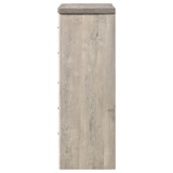 Nevado Grey / Weathered Taupe Chest - Ornate Home