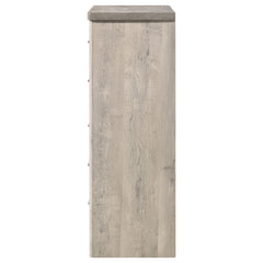 Nevado Grey / Weathered Taupe Chest - Ornate Home