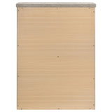 Nevado Grey / Weathered Taupe Chest - Ornate Home