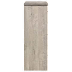 Nevado Grey / Weathered Taupe Chest - Ornate Home