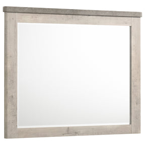 Nevado Grey / Weathered Taupe Dresser Mirror - Ornate Home