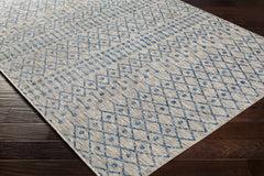 Newbern Outdoor Rug - Clearance - Ornate Home
