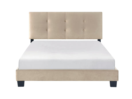 Newberry Brown Full Platform Bed - Ornate Home