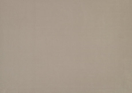 Newberry Brown Twin Platform Bed - Ornate Home