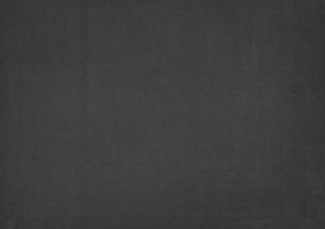 Newberry Dark Gray Twin Platform Bed - Ornate Home