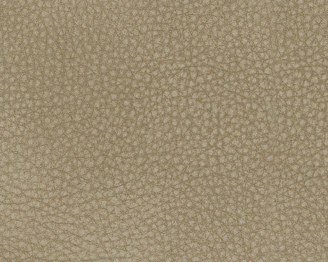 Next-Gen DuraPella Dual Tone Sand Power Reclining Sofa and Loveseat - Ornate Home