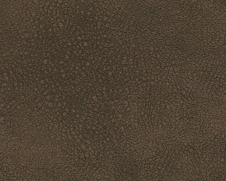 Next-Gen DuraPella Dual Tone Sand Power Reclining Sofa and Loveseat - Ornate Home