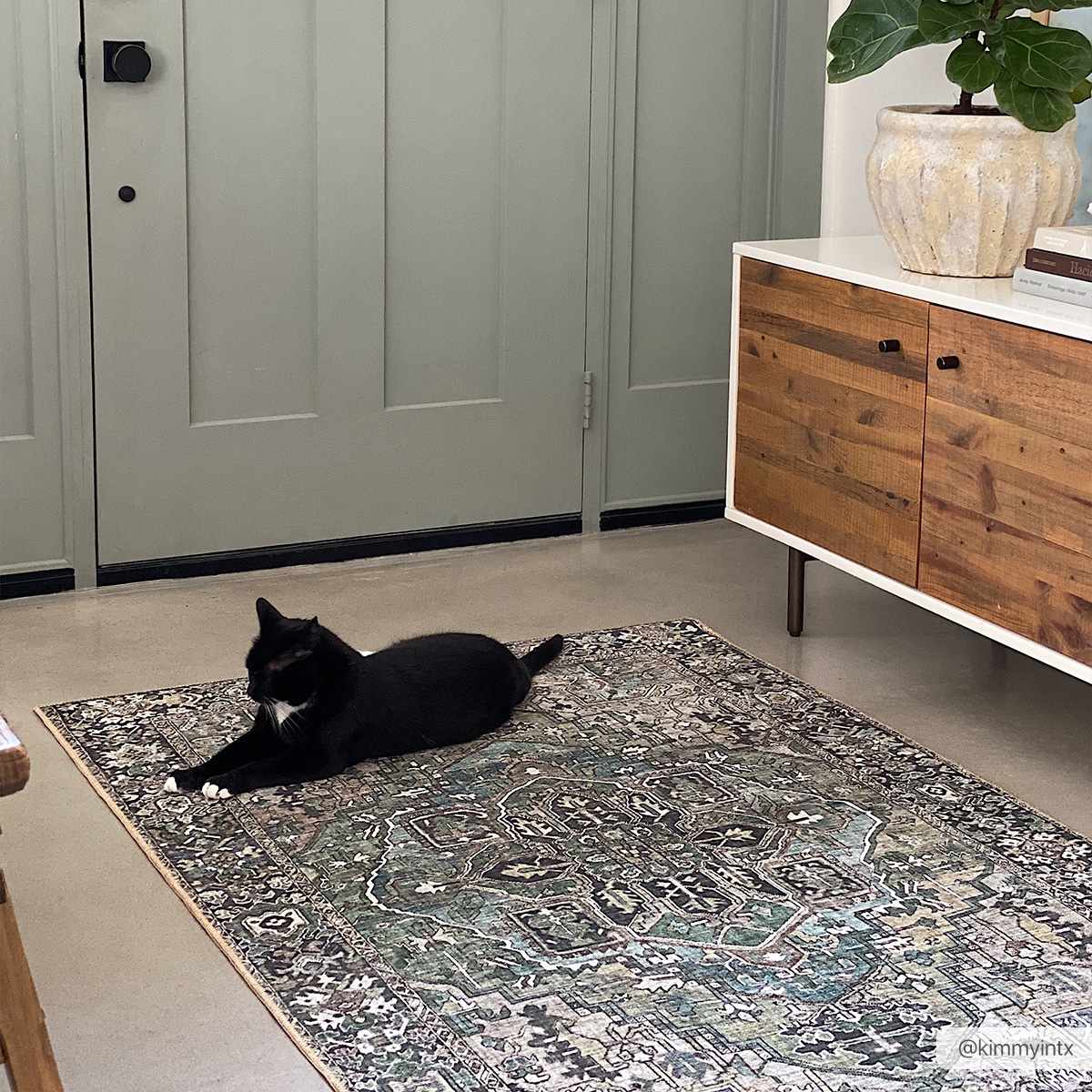 Neyland Sage Green Area Rug - Ornate Home