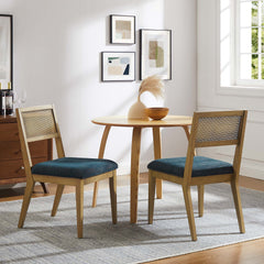 Nimba Heathered Weave Azure Faux Rattan Fabric Dining Chairs (Set of 2) - Ornate Home