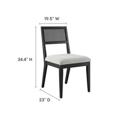 Nimba Heathered Weave Light Gray Faux Rattan Fabric Dining Chairs (Set of 2) - Ornate Home