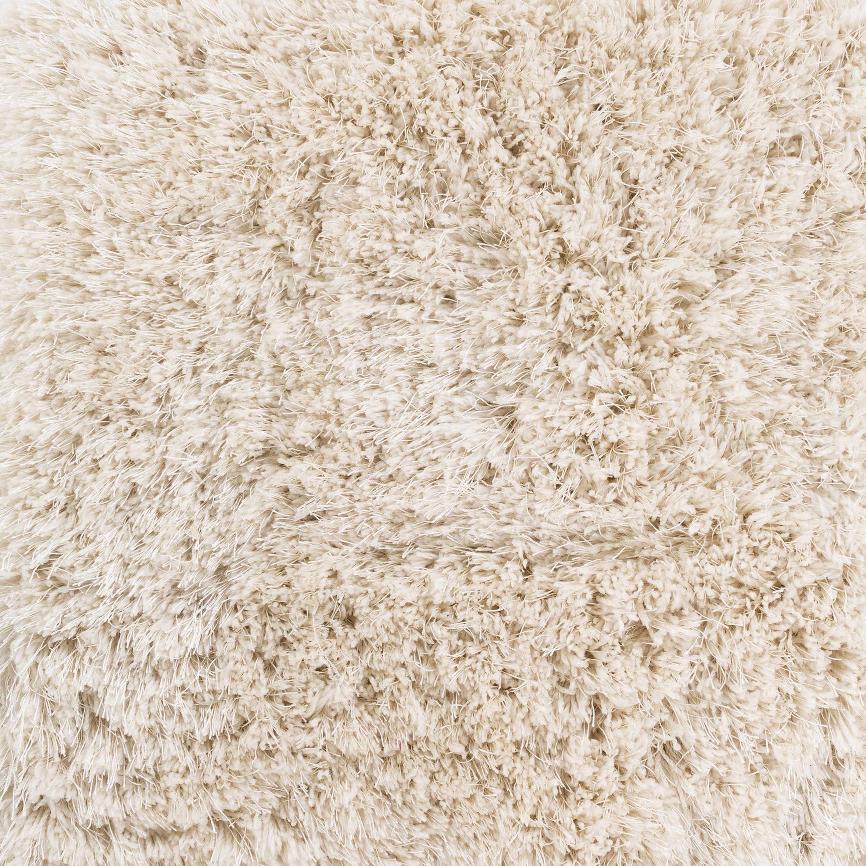 Niobe 2x3 Small Carpet - Clearance - Ornate Home