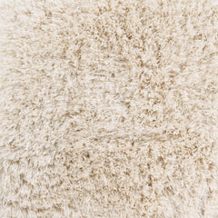 Niobe 2x3 Small Carpet - Clearance - Ornate Home