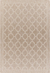 Noam Tan Indoor & Outdoor Rug - Clearance - Ornate Home