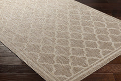 Noam Tan Indoor & Outdoor Rug - Clearance - Ornate Home