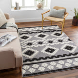 Noki Washable Textured Southwestern Rug - Clearance - Ornate Home