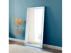 Noralie Rectangular Accent Mirror - Ornate Home