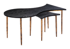 Norden Black & Bronze Coffee Table Set (2-Piece) - Ornate Home