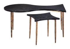 Norden Black & Bronze Coffee Table Set (2-Piece) - Ornate Home