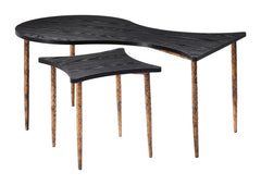 Norden Black & Bronze Coffee Table Set (2-Piece) - Ornate Home