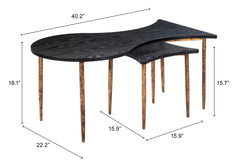 Norden Black & Bronze Coffee Table Set (2-Piece) - Ornate Home