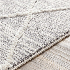Norvelt High/Low Pile Rug with Tassels - Ornate Home