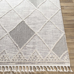Norvelt High/Low Pile Rug with Tassels - Ornate Home