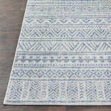 Novato All Over Pattern Performance Outdoor Rug - Ornate Home