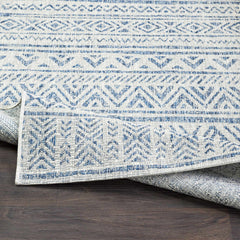 Novato All Over Pattern Performance Outdoor Rug - Ornate Home
