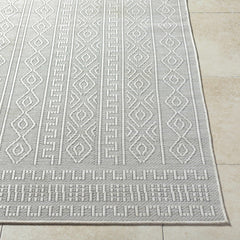 Nuela Light Gray Outdoor Area Rug - Clearance - Ornate Home