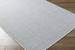 Nuela Light Gray Outdoor Area Rug - Clearance - Ornate Home