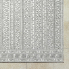 Nuela Light Gray Outdoor Area Rug - Clearance - Ornate Home