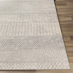 Nunda Gray Rug - Promo - Ornate Home