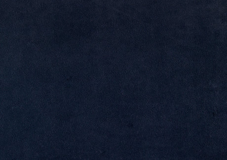 Nya Blue Counter Height Chair (Set of 2) - Ornate Home