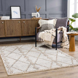 Nyla Bone & Tan Textured Performance Outdoor Rug - Clearance - Ornate Home