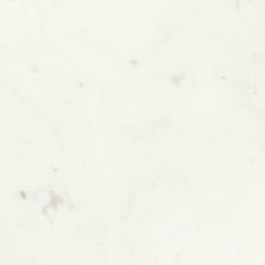 Obel White & Black Side Table - Ornate Home