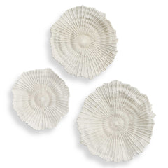 Ocean Gems White Coral Wall Decor (Set of 3) - Ornate Home