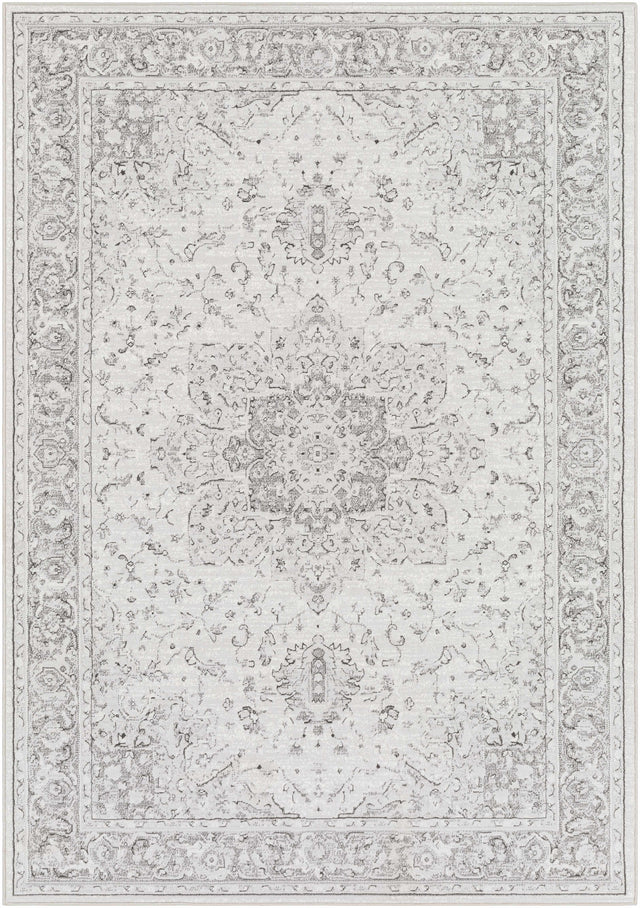 Okehampton Area Rug - Clearance - Ornate Home