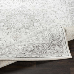 Okehampton Area Rug - Clearance - Ornate Home