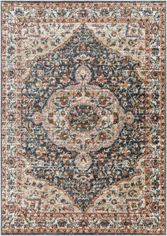 Okiot Traditional Area Rug - Clearance - Ornate Home
