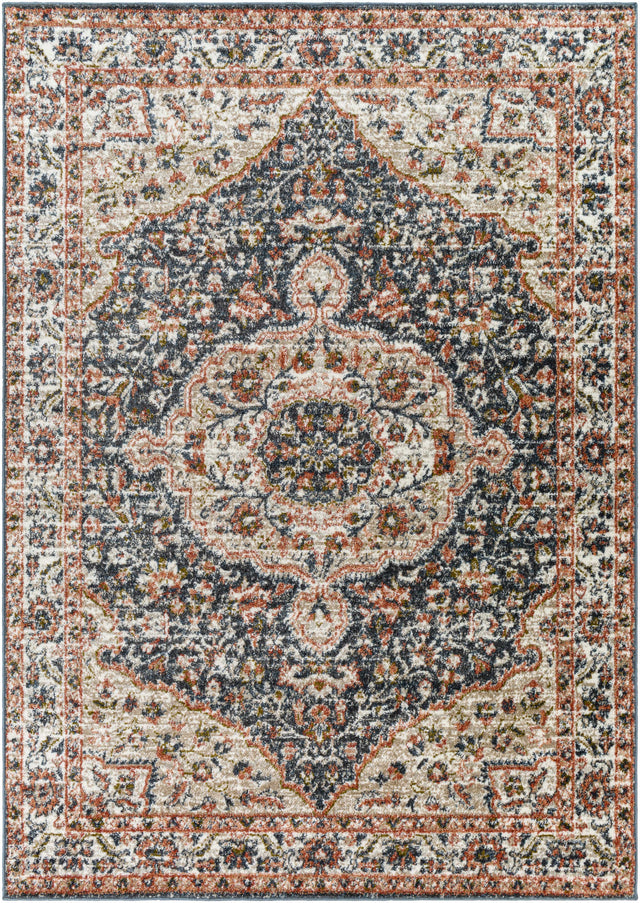 Okiot Traditional Area Rug - Clearance - Ornate Home