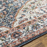 Okiot Traditional Area Rug - Clearance - Ornate Home
