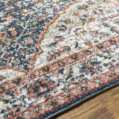 Okiot Traditional Area Rug - Clearance - Ornate Home