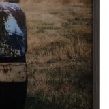 Oldie But Goodie Yellow/Brown Wall Art