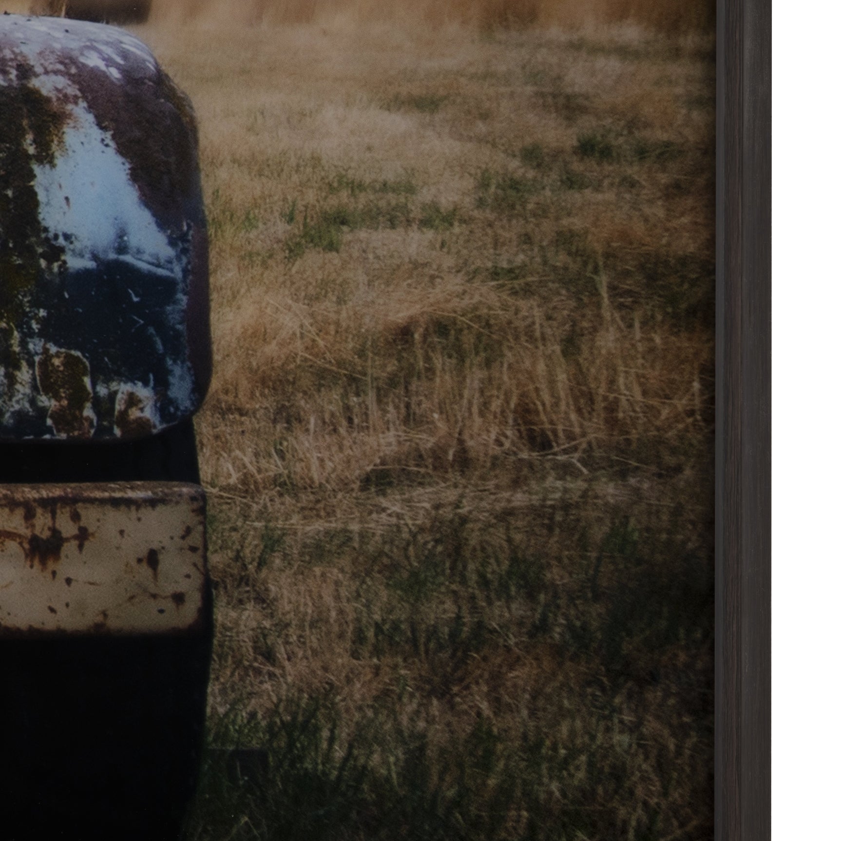 Oldie But Goodie Yellow/Brown Wall Art