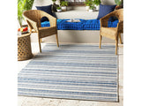 Olin White&Blue Performance Rug - Ornate Home