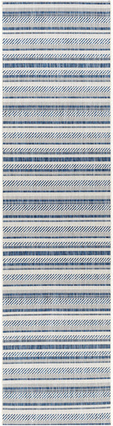 Olin White&Blue Striped Nordic Outdoor Rug - Ornate Home